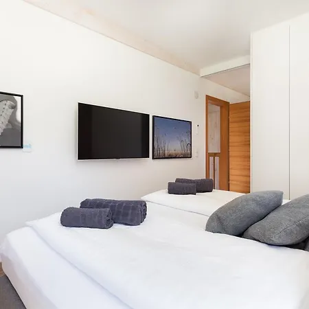 Designferienhaus Altenmarkt Zauchensee Tatil Evi